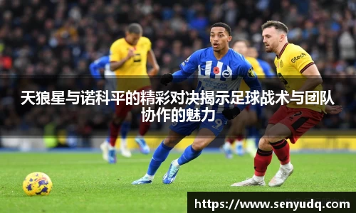 好博体育