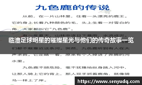 好博体育