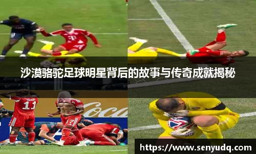 好博体育官方网站